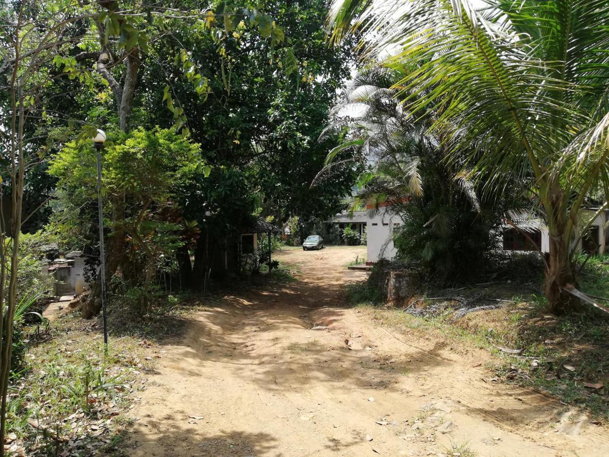 Leaf Guest House Gampola Kültér fotó