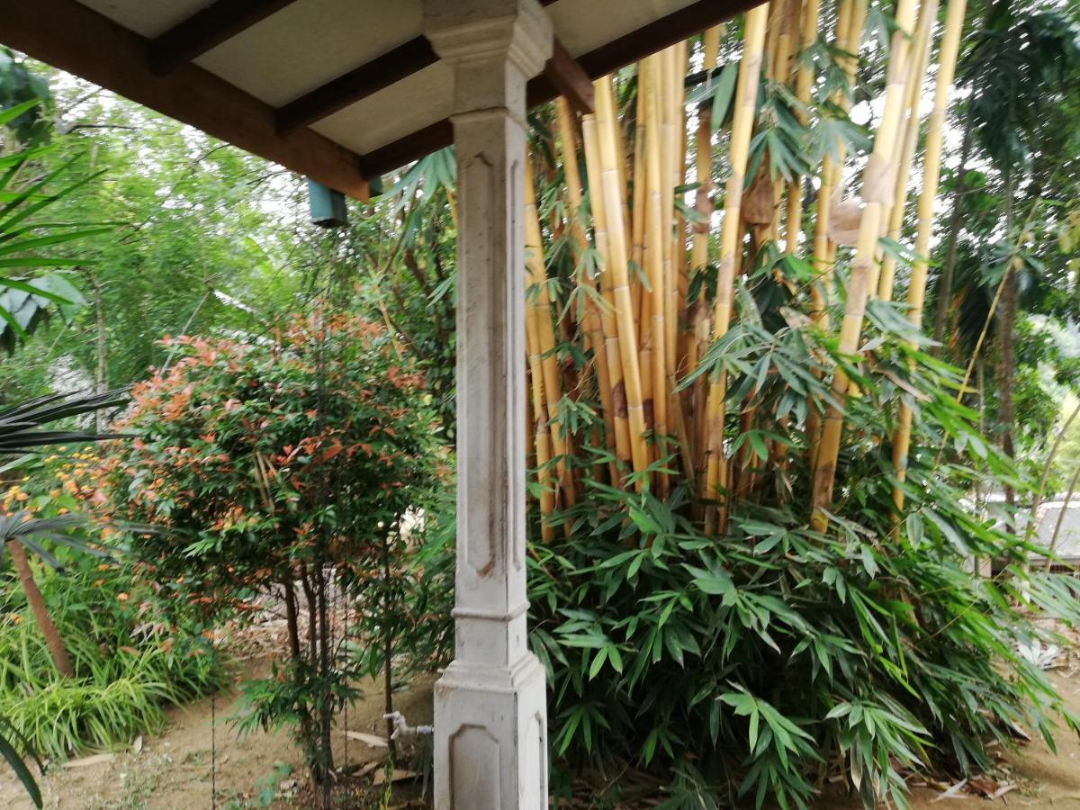 Leaf Guest House Gampola Kültér fotó