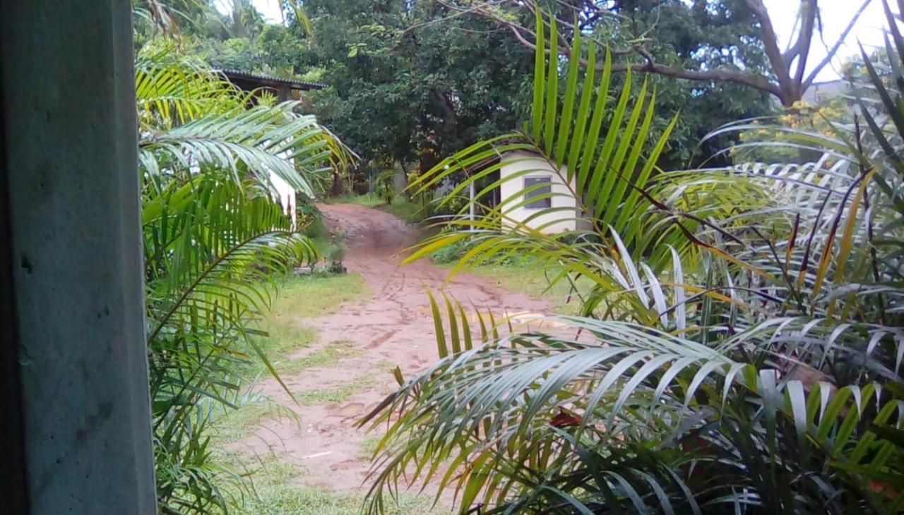 Leaf Guest House Gampola Kültér fotó