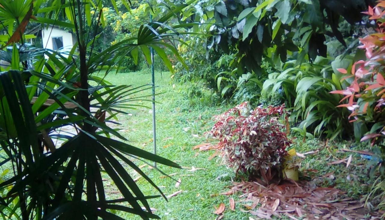 Leaf Guest House Gampola Kültér fotó